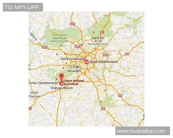 维特足球明星全景盘点及其辉煌成就解析 维特足球明星全景盘点及其辉煌成就解析