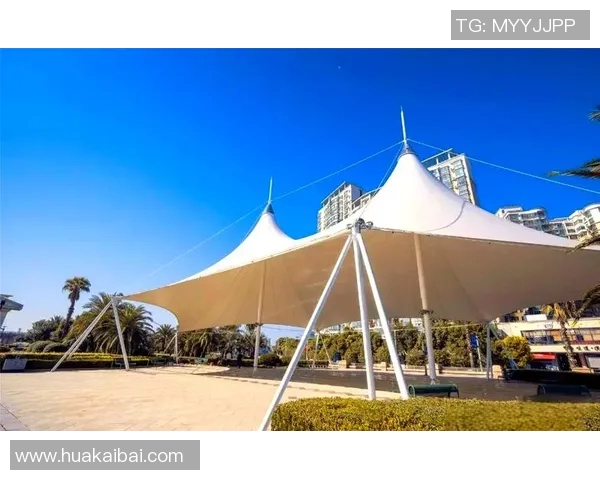 体育馆户外张拉膜景观设计探讨与应用研究推动城市公共空间美学提升