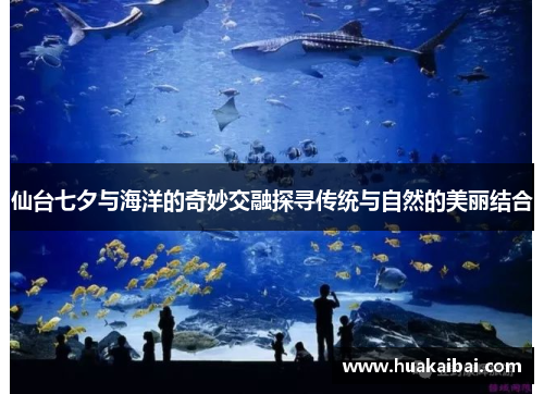 仙台七夕与海洋的奇妙交融探寻传统与自然的美丽结合